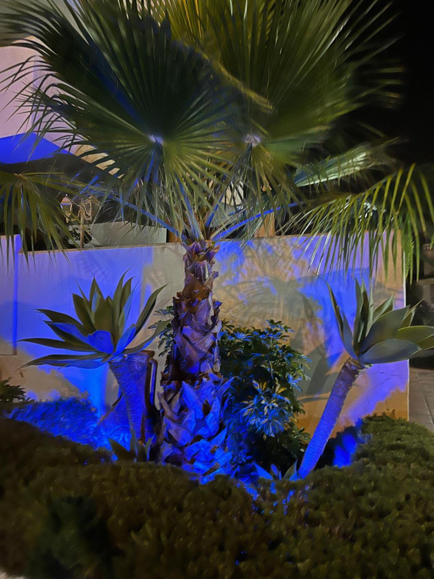 Casadeleon - Costadelsol Vacations & Remote Work Sitio de Calahonda Eksteriør bilde