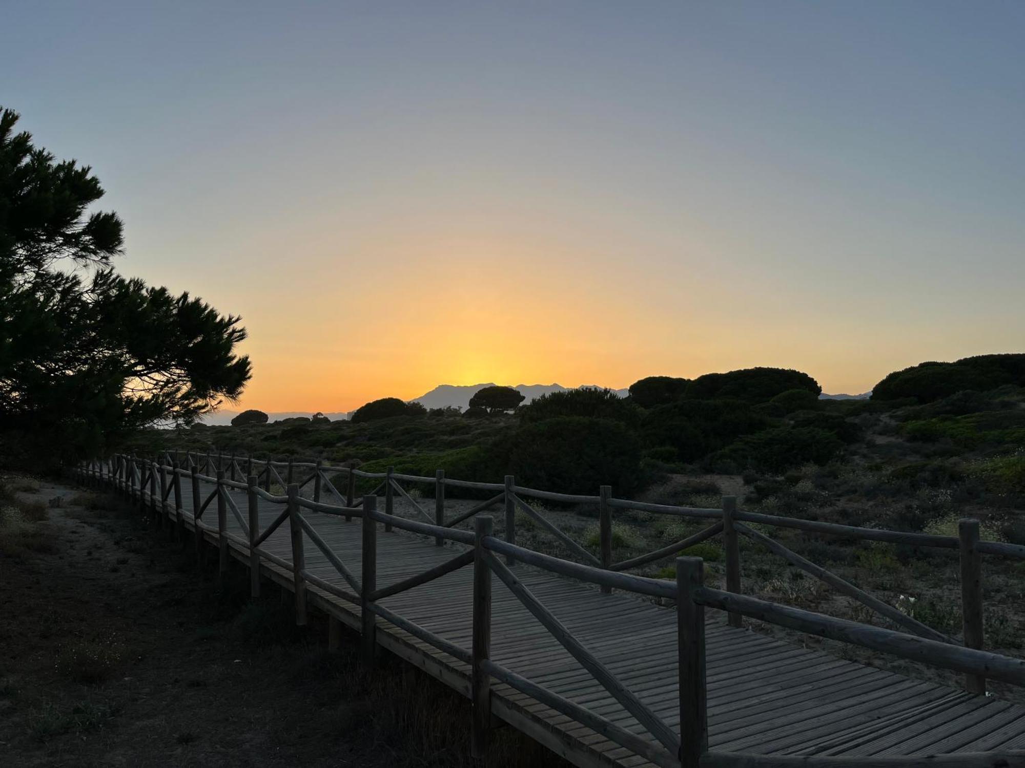 Casadeleon - Costadelsol Vacations & Remote Work Sitio de Calahonda Eksteriør bilde